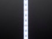 Analog RGBW LED Strip - RGB plus Cool White - 60 LED/m