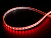 Analog RGBW LED Strip - RGB plus Cool White - 60 LED/m
