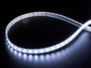 Analog RGBW LED Strip - RGB plus Cool White - 60 LED/m