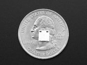 NeoPixel RGBW LEDs w/ Integrated Driver Chip - Warm White