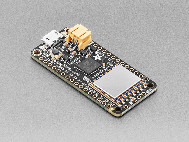 Angled shot of rectangular microcontroller.