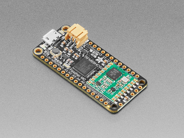 Angled shot of rectangular microcontroller.