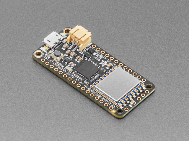 Angled shot of rectangular microcontroller.