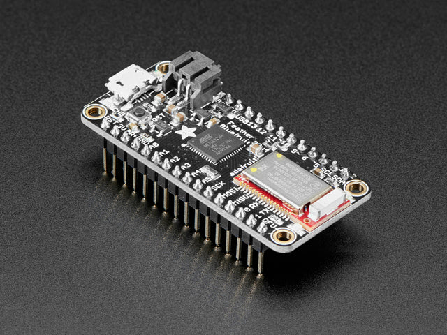 Angled shot of rectangular microcontroller with headers. 