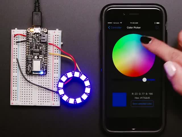 Video of an LED ring assembled on a half-size breadboard and microcontroller. A white hand changes the color of the LED ring by tapping colors on an app on a smart phone.