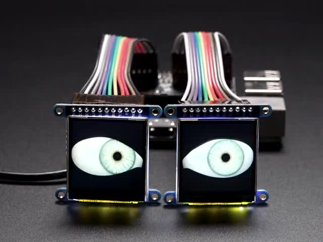 Two TFT screens with realistic eyeballs looking around and blinking