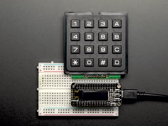 Video of manicured finger pressing buttons on 4x4 keypad. The pressed numbers appear on an OLED breakout display on a breadboard.