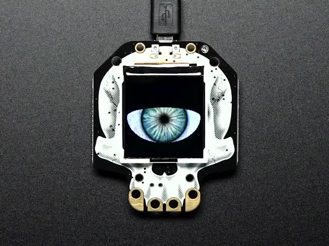 Video of a blinking eye on a Adafruit HalloWing M0 Express.