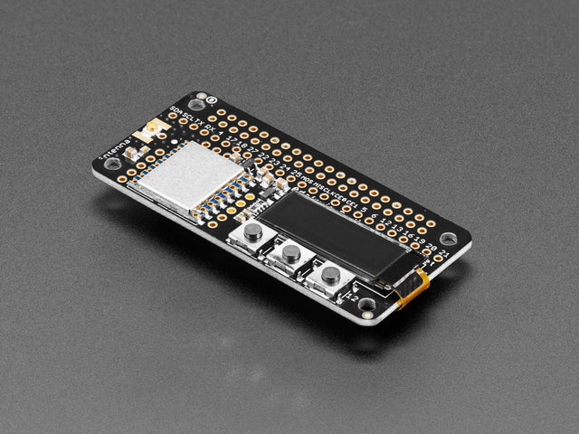 Angled shot of rectangular microcontroller with OLED screen.