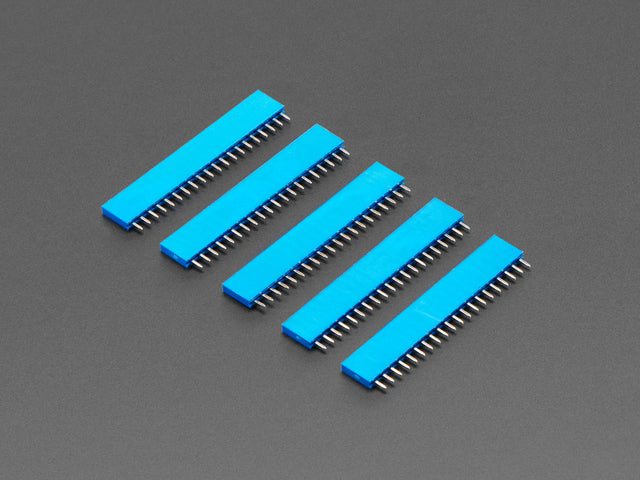 Five pack of 20-pin 0.1 Female Header - Blue plastic