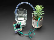 Adafruit Bonsai Buckaroo - micro:bit & CLUE Plant Care Helper