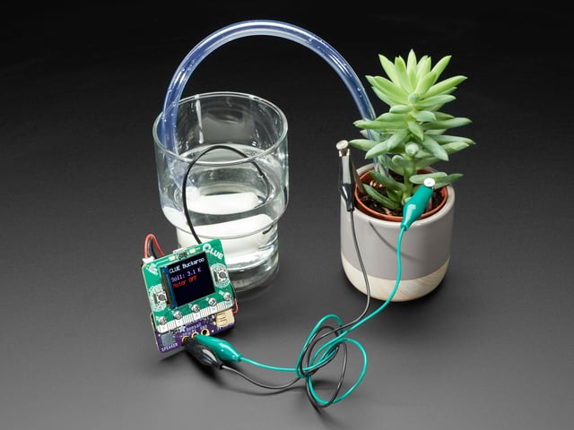 Adafruit Bonsai Buckaroo - micro:bit & CLUE Plant Care Helper