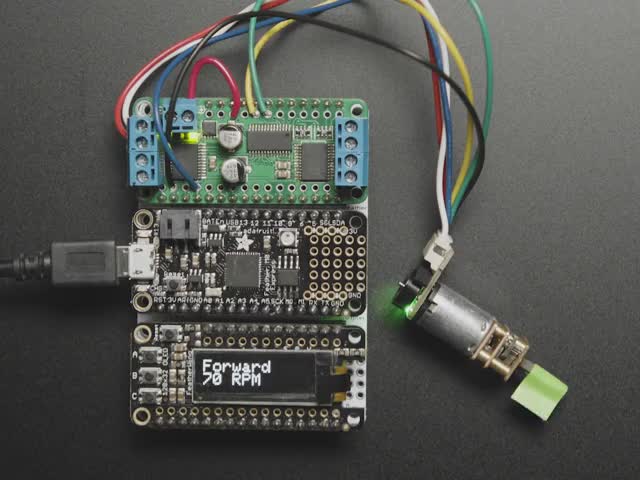 N20 DC Motor with Magnetic Encoder - 6V with 1:50 Gear Ratio