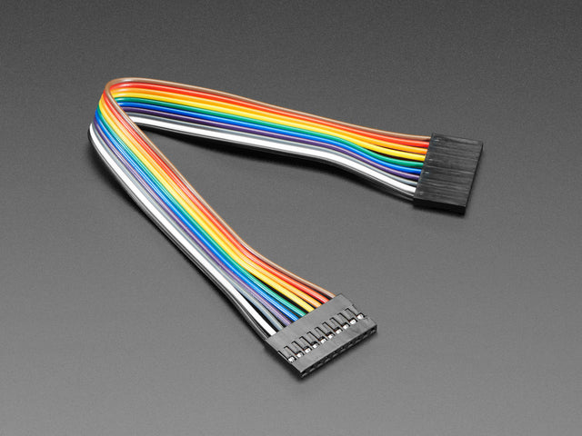 Angled shot of 20cm long 10-pin 2.54mm pitch jumper cable.