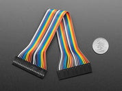 2.54mm 0.1" Pitch 20-pin Jumper Cable - 20cm long