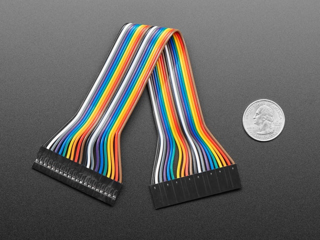 2.54mm 0.1" Pitch 20-pin Jumper Cable - 20cm long