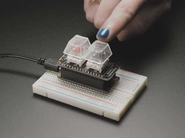 Angled video of FeatherWing PCB installed on breadboard with key caps and switches. A finger reaches down to press the keys which light up rainbow colors.