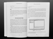 Programming the Pico: Learn Coding & Electronics w/ the Pico