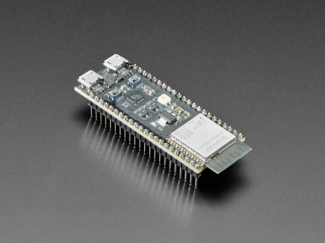 Angled shot of long rectangular microcontroller.