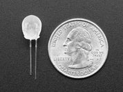 dLUX-dLITE Cool White Skull Shape LEDs 5 Pack by Unexpected Labs
