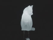 dLUX-dLITE Cool White Kitty Shape LEDs 5 Pack by Unexpected Labs