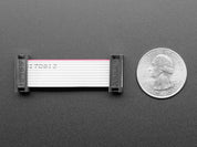 10-pin Socket/Socket IDC cable - Short 1.5"