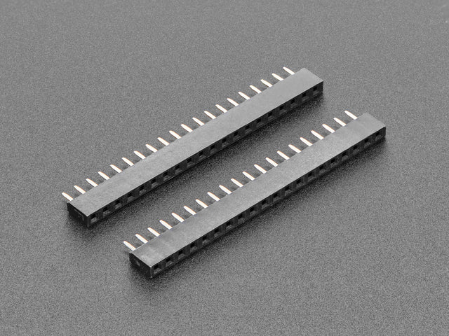5585-00.jpg