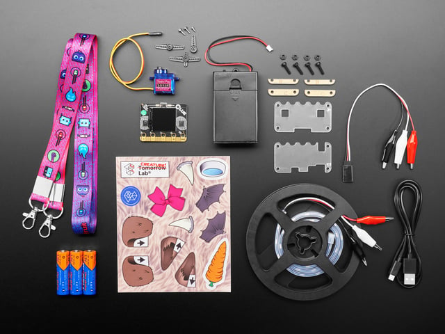 Overhead shot of DIY kit electronics.