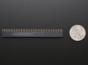 36-pin 0.1" Female header - pack of 5!