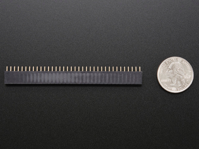 36-pin 0.1" Female header - pack of 5!