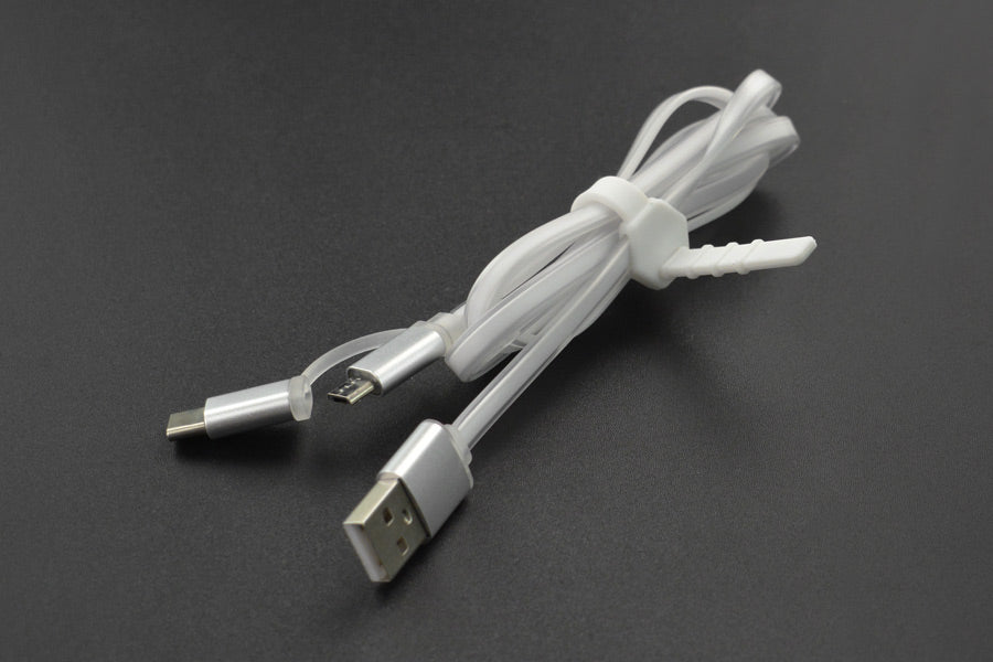 Type-CandMicro 2-in-1 USB Cable